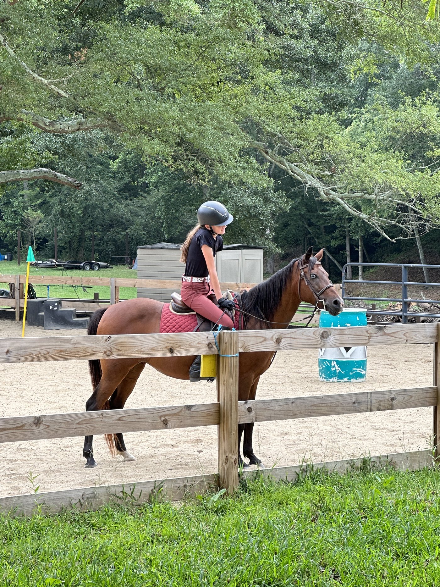 Juliette riding a bay therapy horse in the arena at Hand, Hoof & Heart