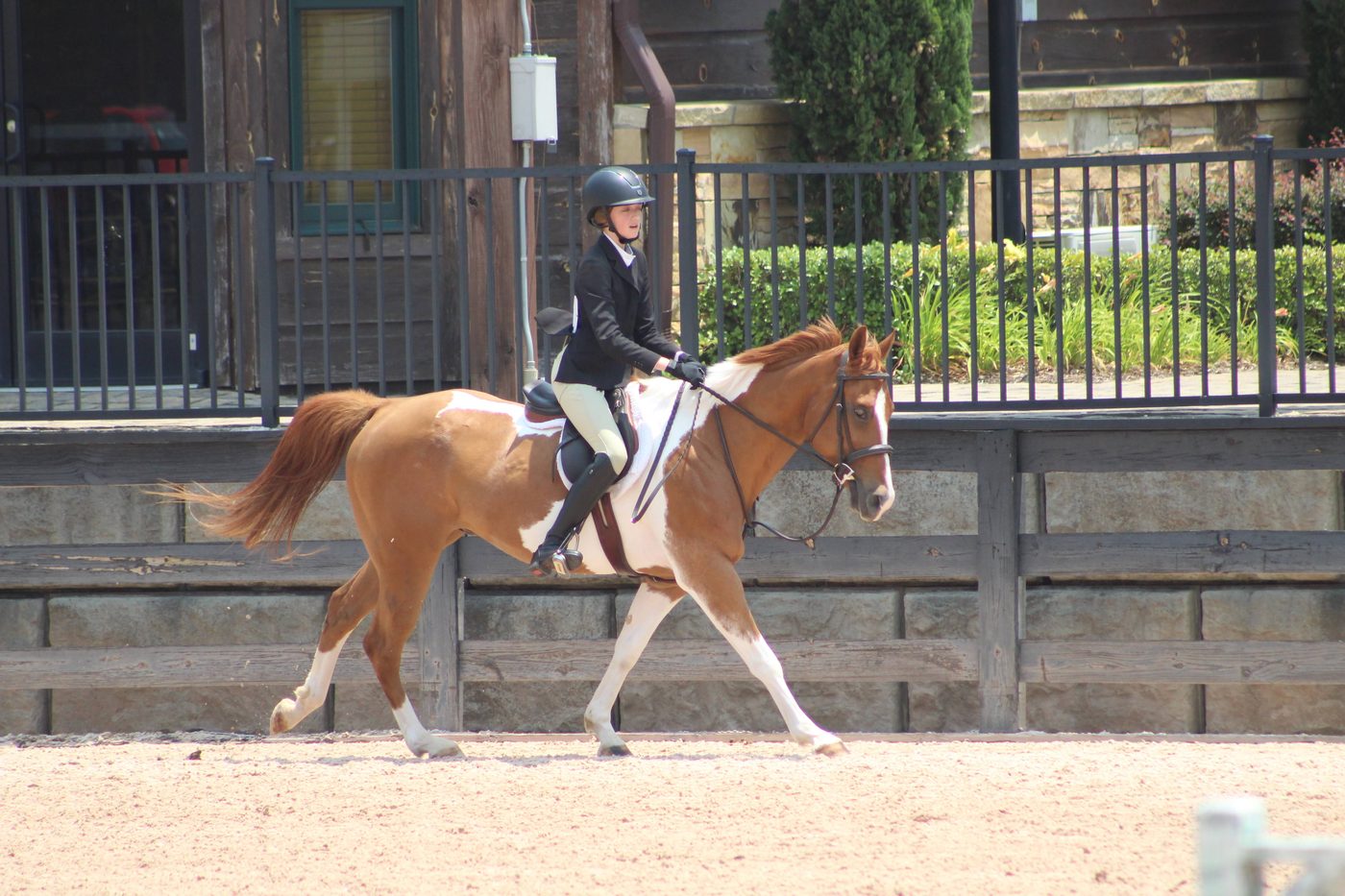 Juliette trotting her paint pony in a show ring